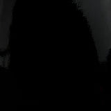 Donghia BLACK SWAN PATENT Upholstery Fabric