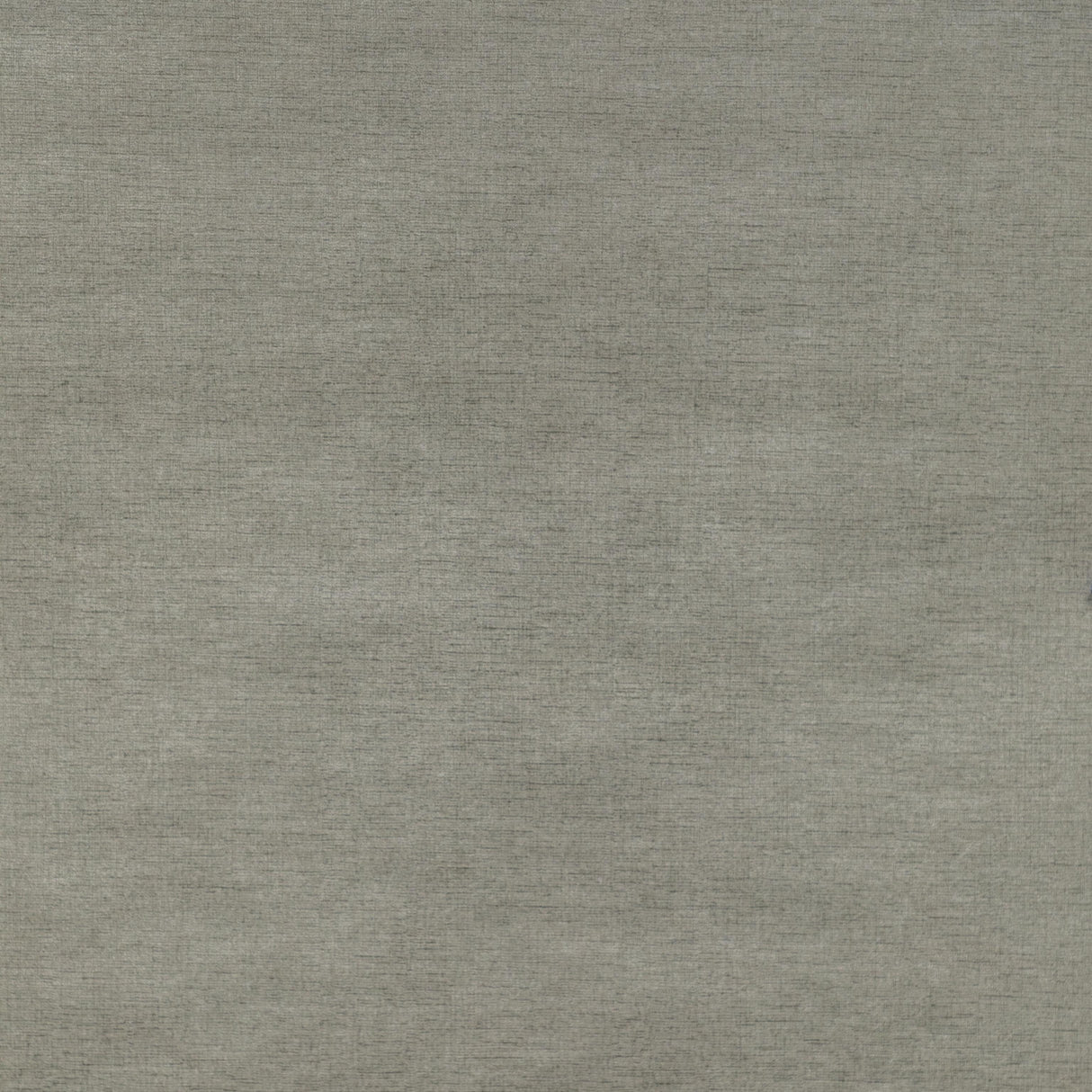 Donghia GLOW UP DOVE Wallpaper