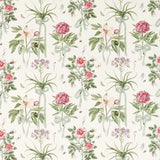 Sanderson Cupid`s Beau Parchment/Madder Fabric