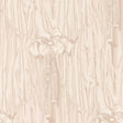 Sanderson Wilsford Conch Wallpaper
