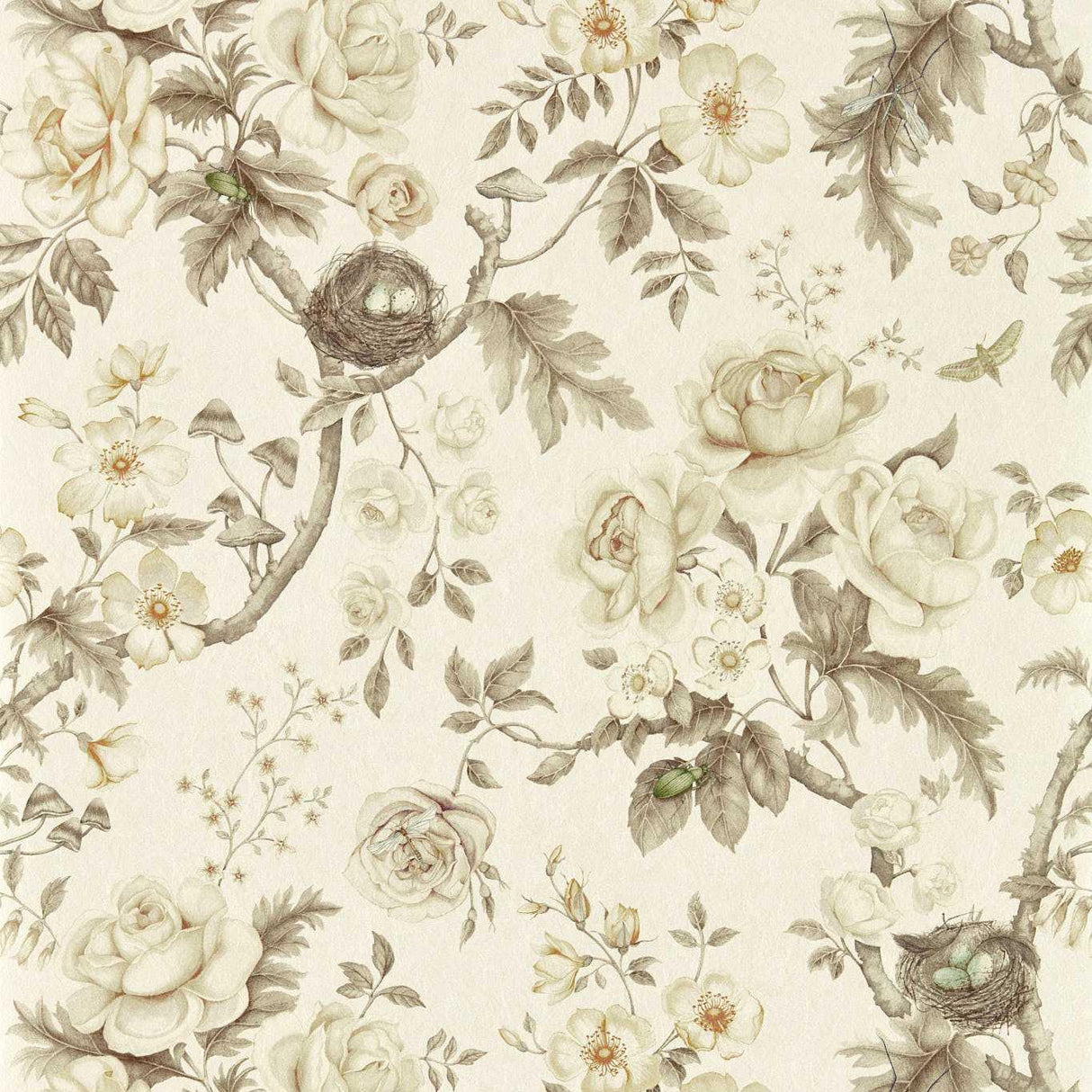 Sanderson Tansy Bloom Oyster Wallpaper