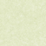 Galerie Mottled Texture Green Wallpaper