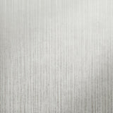Galerie Jupiter Fossil Grey Silver Grey Wallpaper