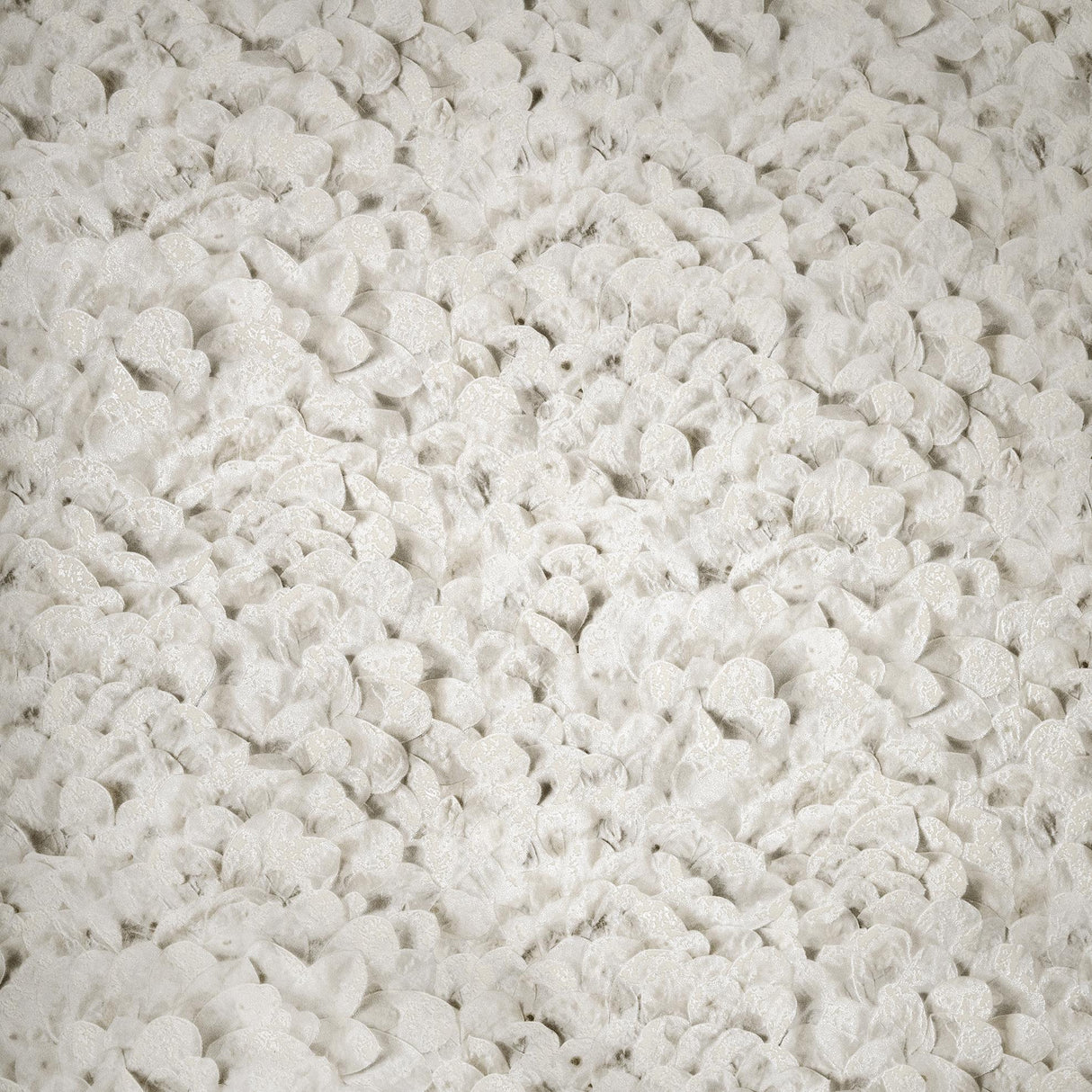 Galerie Arco Cream Wallpaper