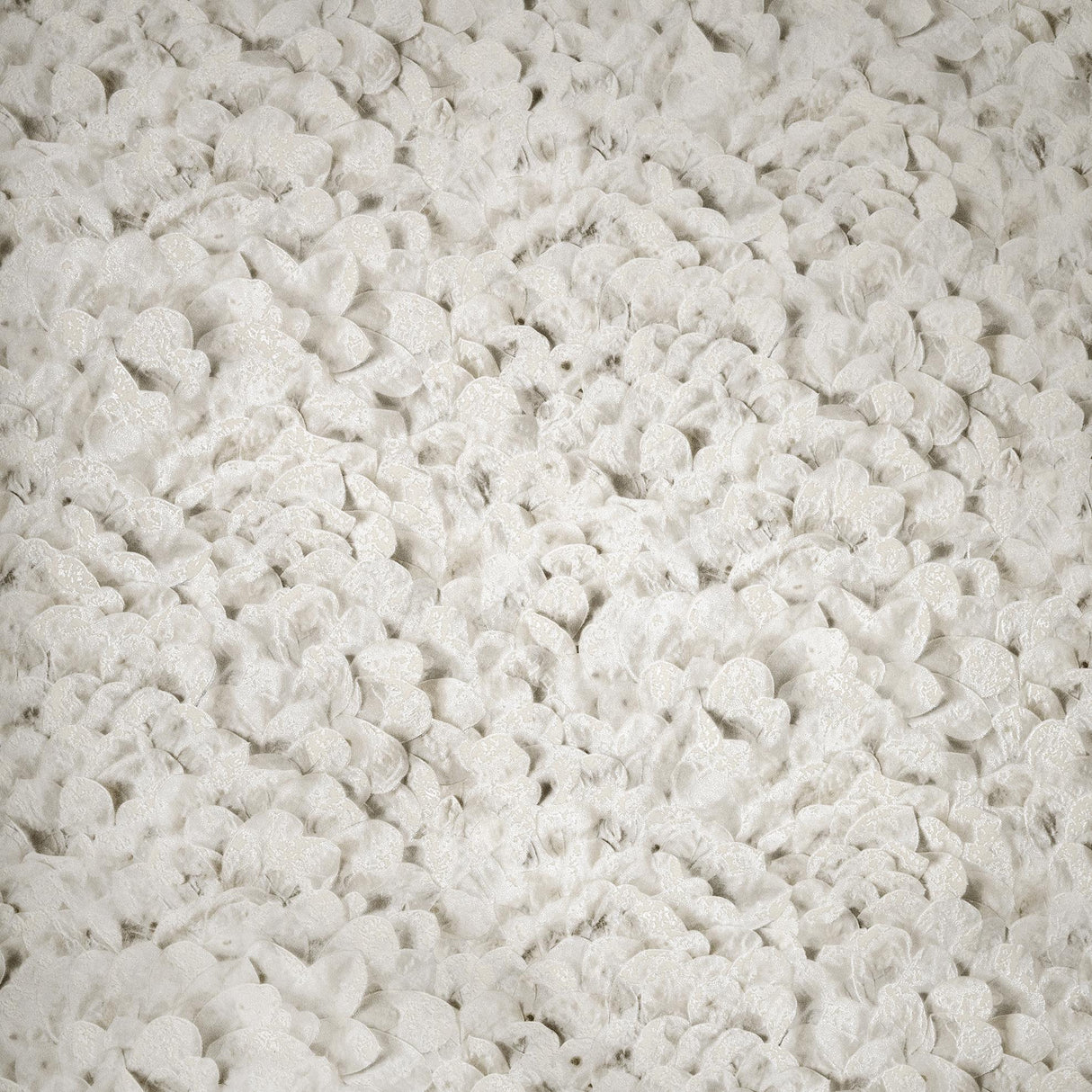 Galerie Arco Cream Wallpaper
