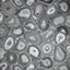 Galerie Agate Silver Grey Wallpaper