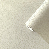 Galerie DWP0232-01 Boutique Webbing Cream Wallpaper DWP0232-01 Cream Wallpaper