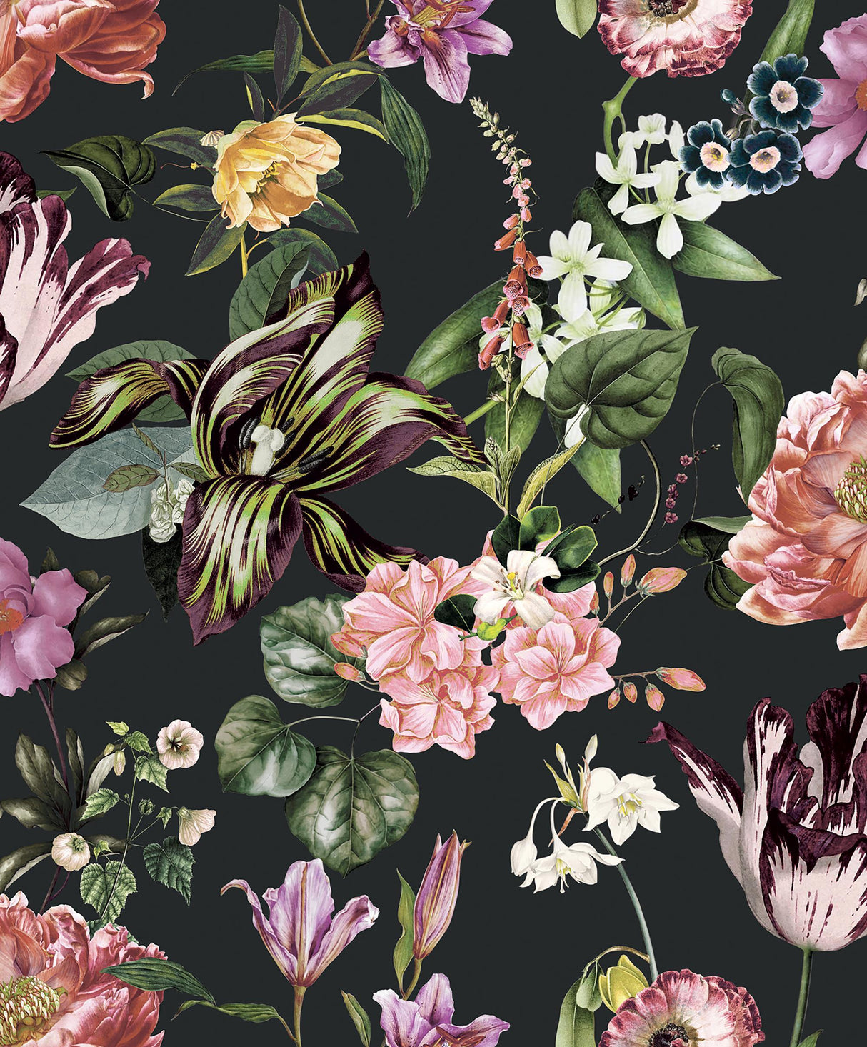 Galerie Floral Rhapsody Black Wallpaper