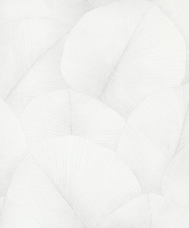 Galerie Palm Leaf White Wallpaper