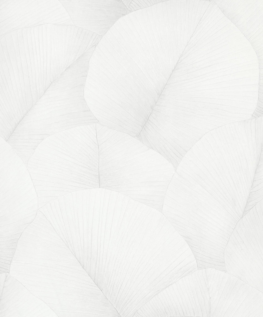 Galerie Palm Leaf White Wallpaper