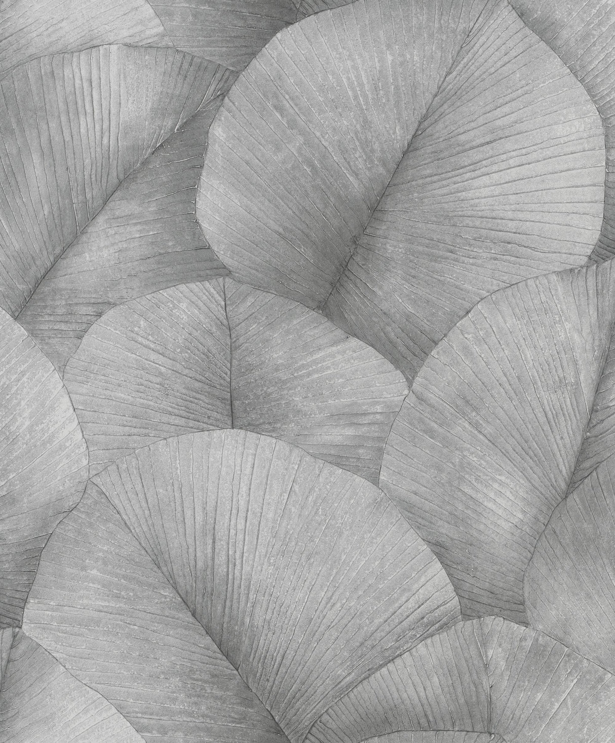 Galerie Palm Leaf Silver Grey Wallpaper