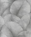 Galerie Palm Leaf Silver Grey Wallpaper