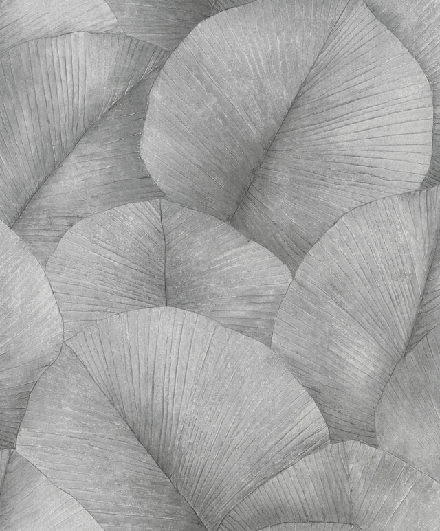 Galerie Palm Leaf Silver Grey Wallpaper