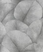 Galerie Palm Leaf Silver Grey Wallpaper