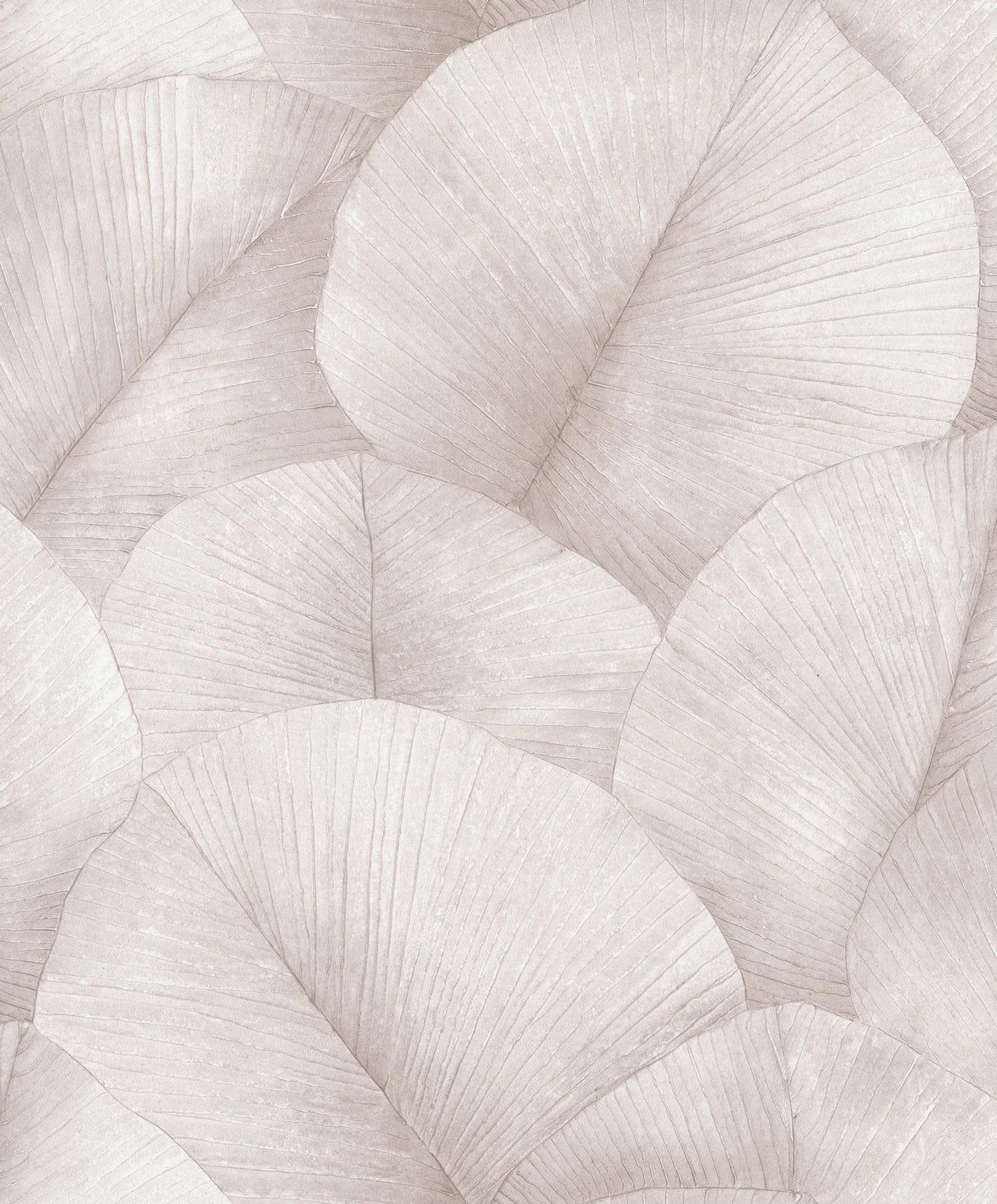 Galerie Palm Leaf Pink Wallpaper