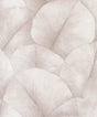 Galerie Palm Leaf Pink Wallpaper