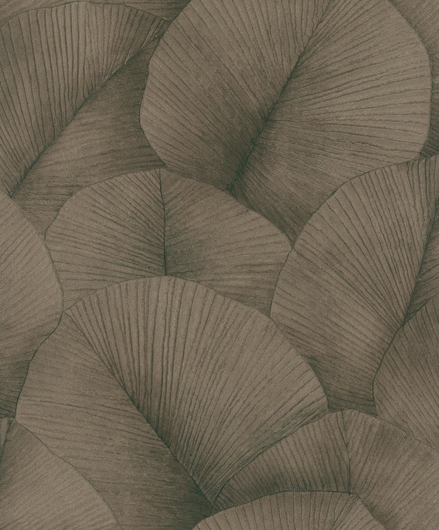 Galerie Palm Leaf Bronze Brown Wallpaper
