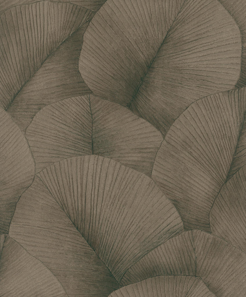 Galerie Palm Leaf Bronze Brown Wallpaper