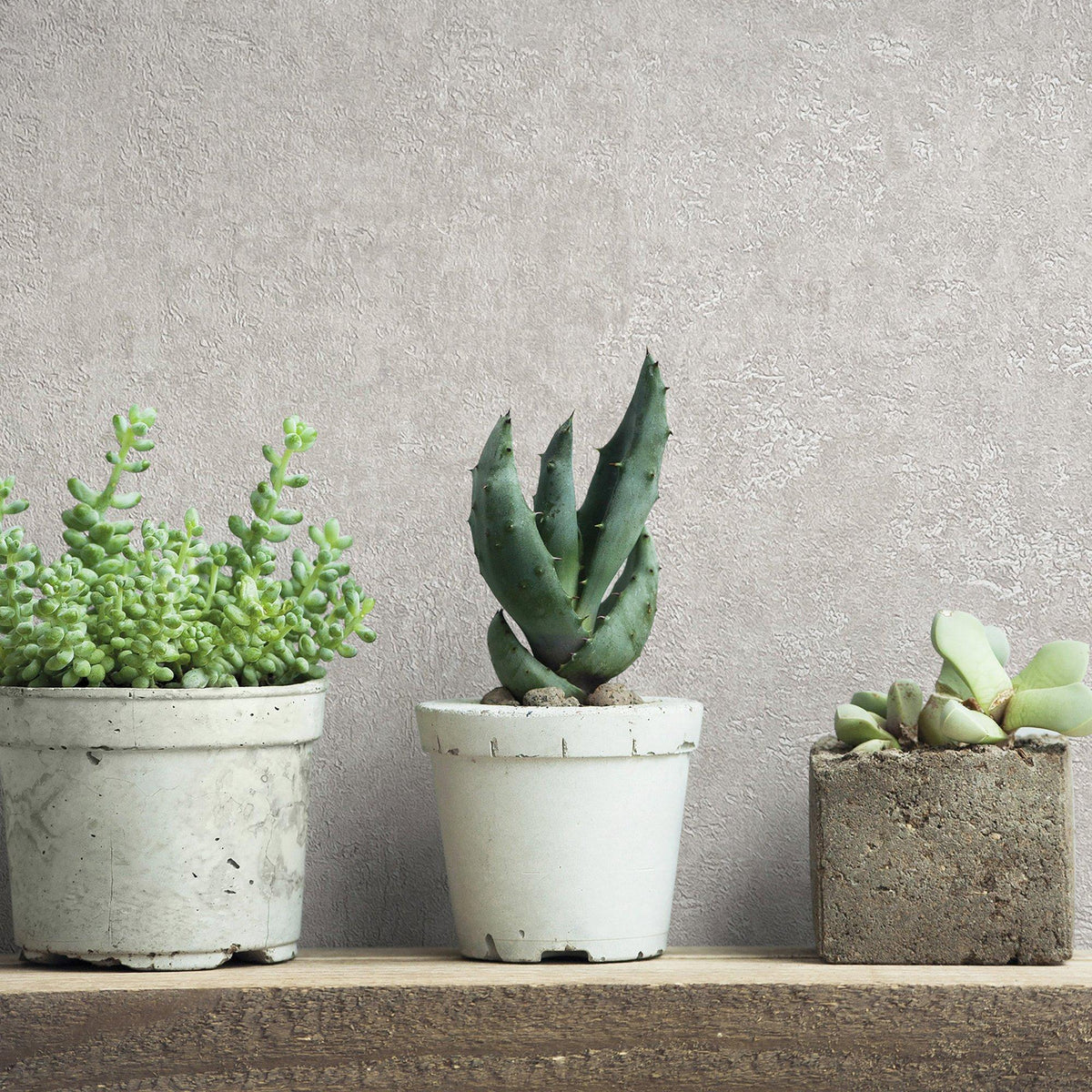 Galerie 34518 Kumano Plaster Silver Grey Wallpaper 34518 Silver Grey Wallpaper