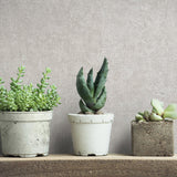 Galerie 34518 Kumano Plaster Silver Grey Wallpaper 34518 Silver Grey Wallpaper