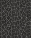 Galerie Glitter Web Black Wallpaper