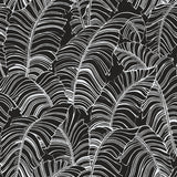 Galerie Broadleaf Black Wallpaper