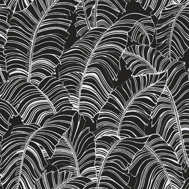Galerie Broadleaf Black Wallpaper