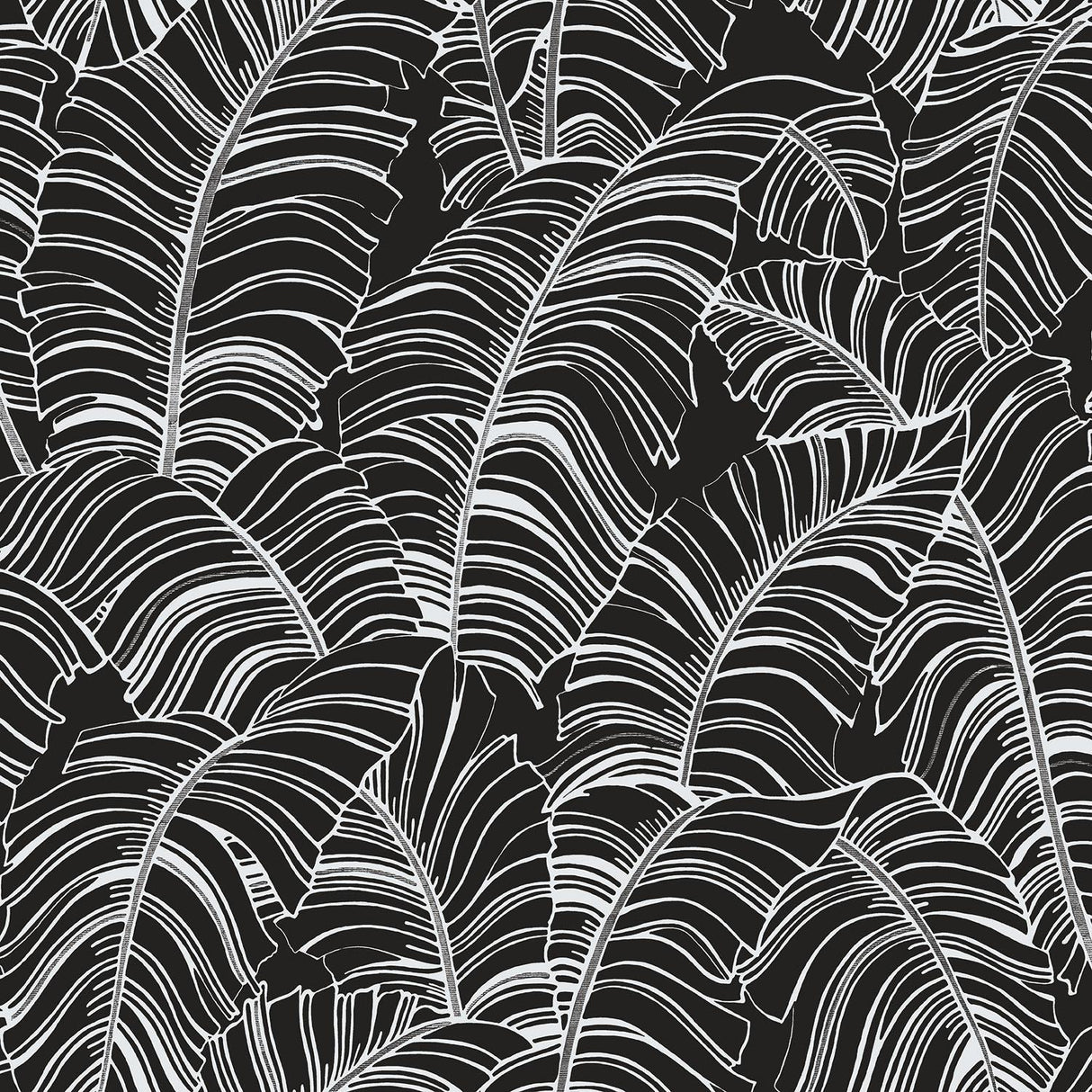 Galerie Broadleaf Black Wallpaper