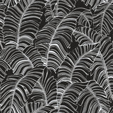 Galerie Broadleaf Black Wallpaper