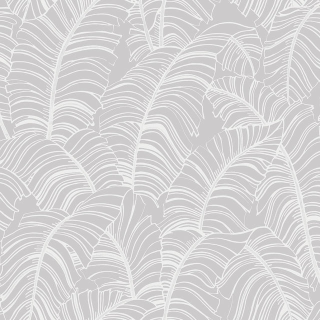 Galerie Broadleaf Silver Grey Wallpaper