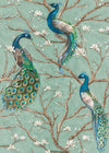 Galerie Peacocks Blue Wallpaper