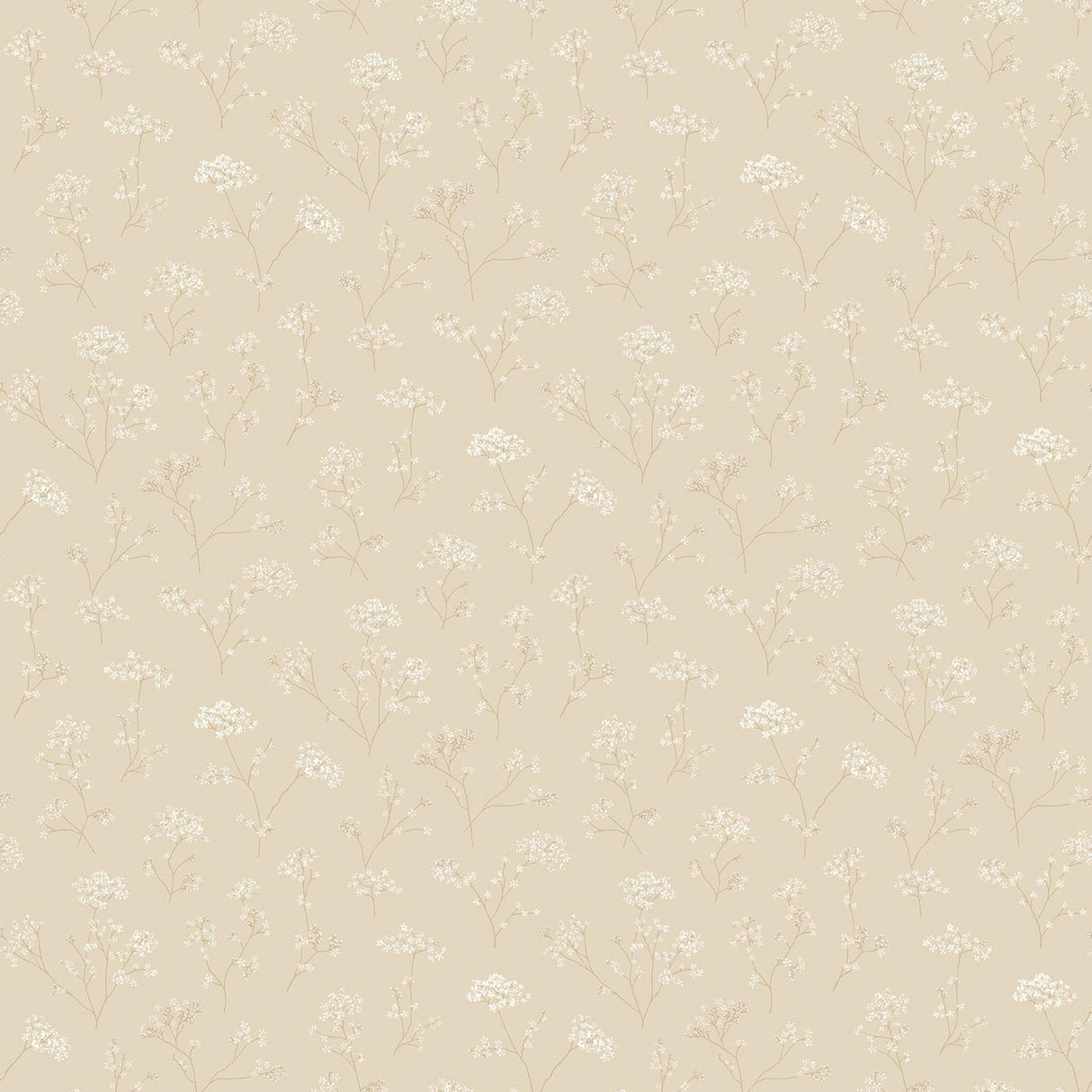 Galerie Cow Parsley Cream Wallpaper