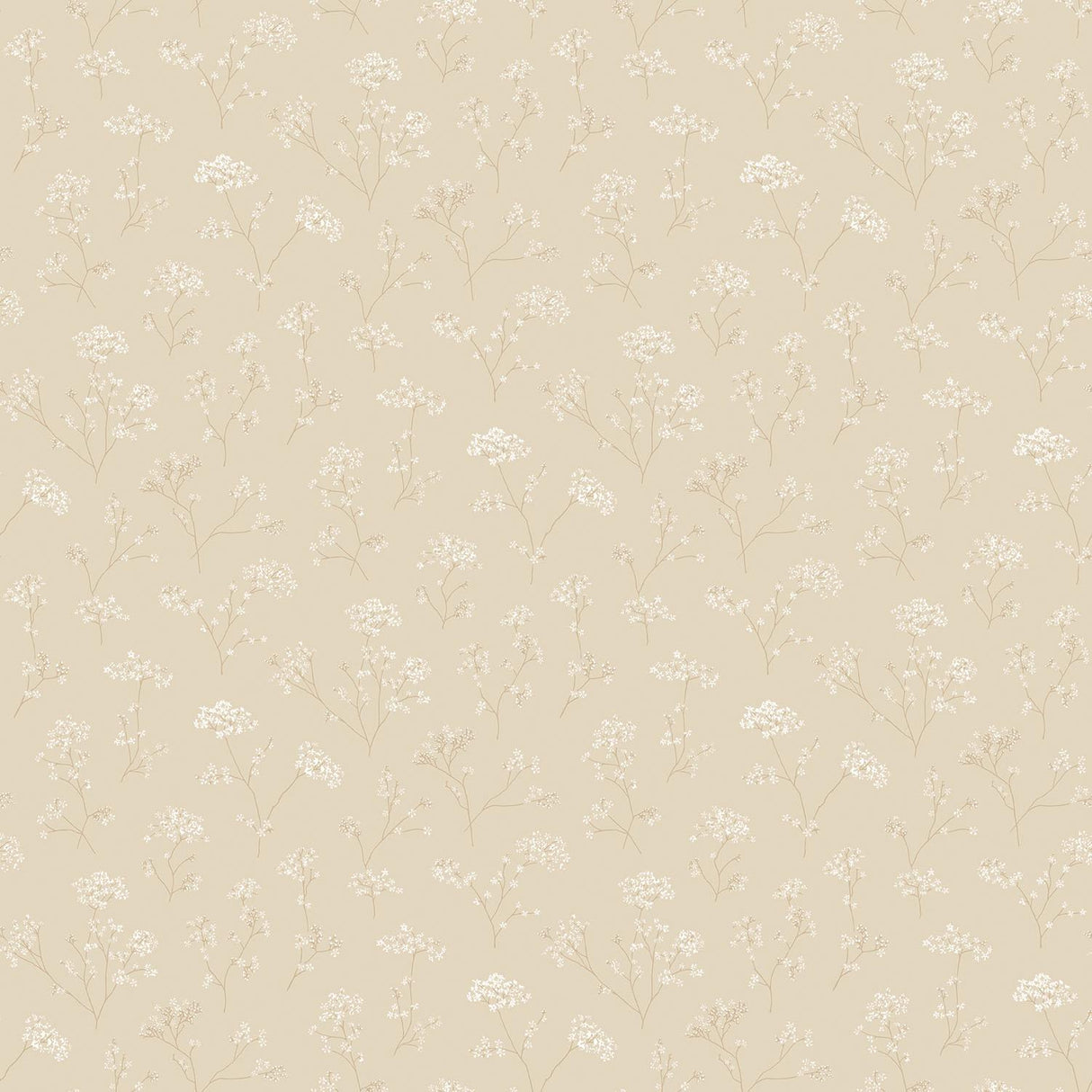 Galerie Cow Parsley Cream Wallpaper