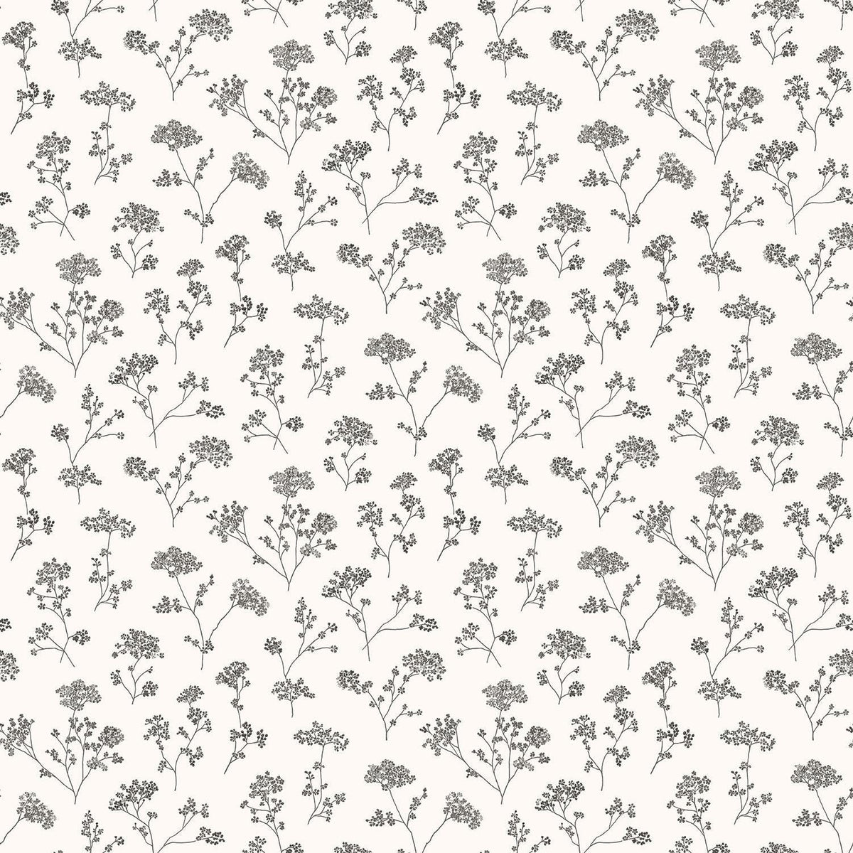Galerie Cow Parsley White Wallpaper