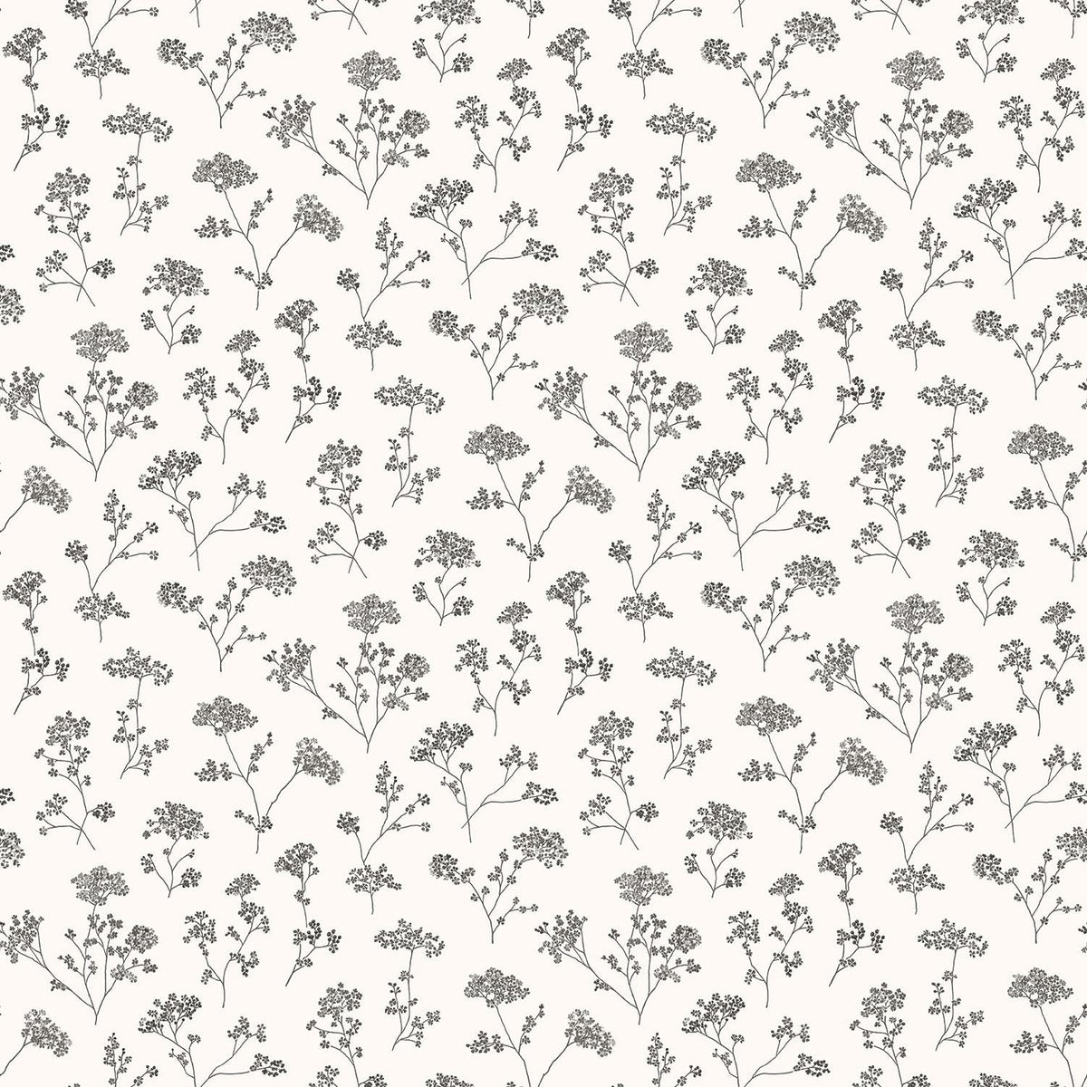 Galerie Cow Parsley White Wallpaper