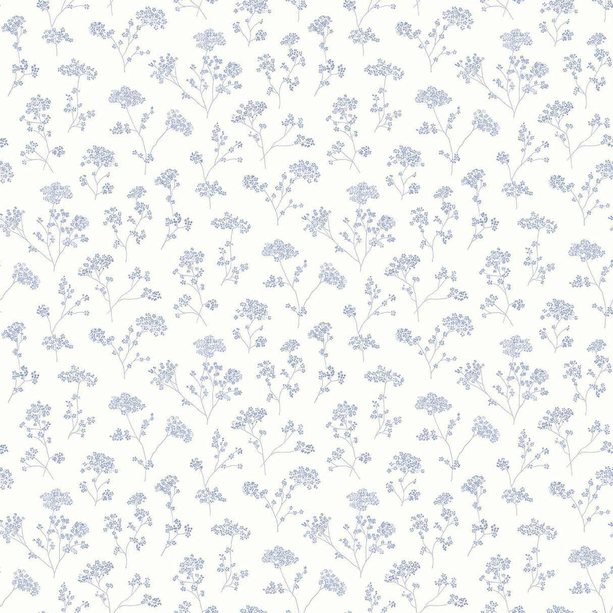 Galerie Cow Parsley Blue Wallpaper