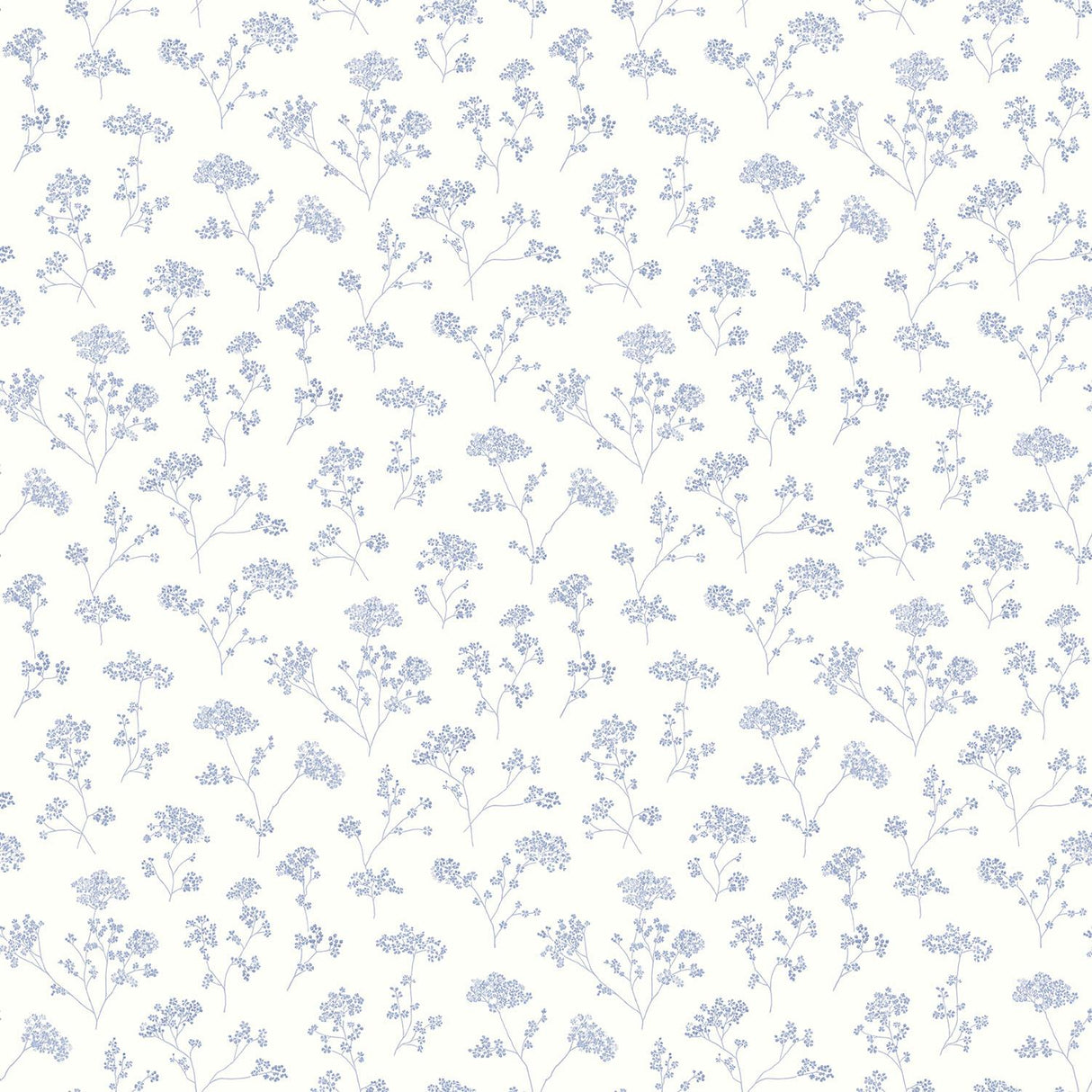 Galerie Cow Parsley Blue Wallpaper