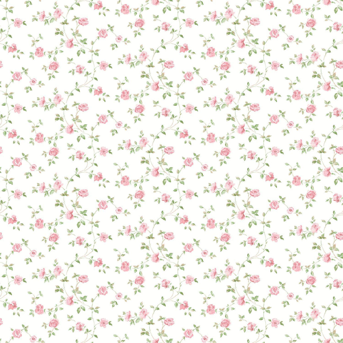 Galerie Small Rose Trail White Wallpaper