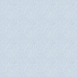 Galerie Hedgehog Blue Wallpaper