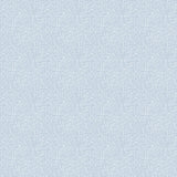 Galerie Hedgehog Blue Wallpaper