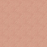 Galerie Hedgehog Orange Wallpaper