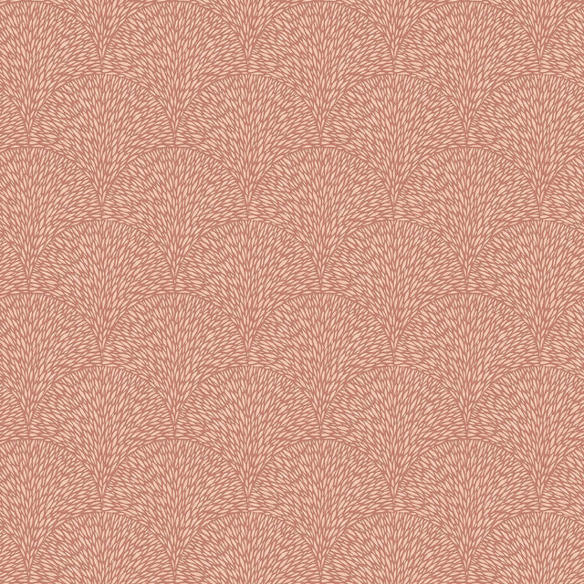 Galerie Hedgehog Orange Wallpaper
