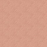 Galerie Hedgehog Orange Wallpaper