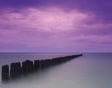 Galerie Cosatal View Purple Lilac Wallpaper