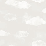 Galerie Cloud Silver Grey Wallpaper