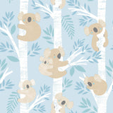 Galerie Koalas Blue Wallpaper