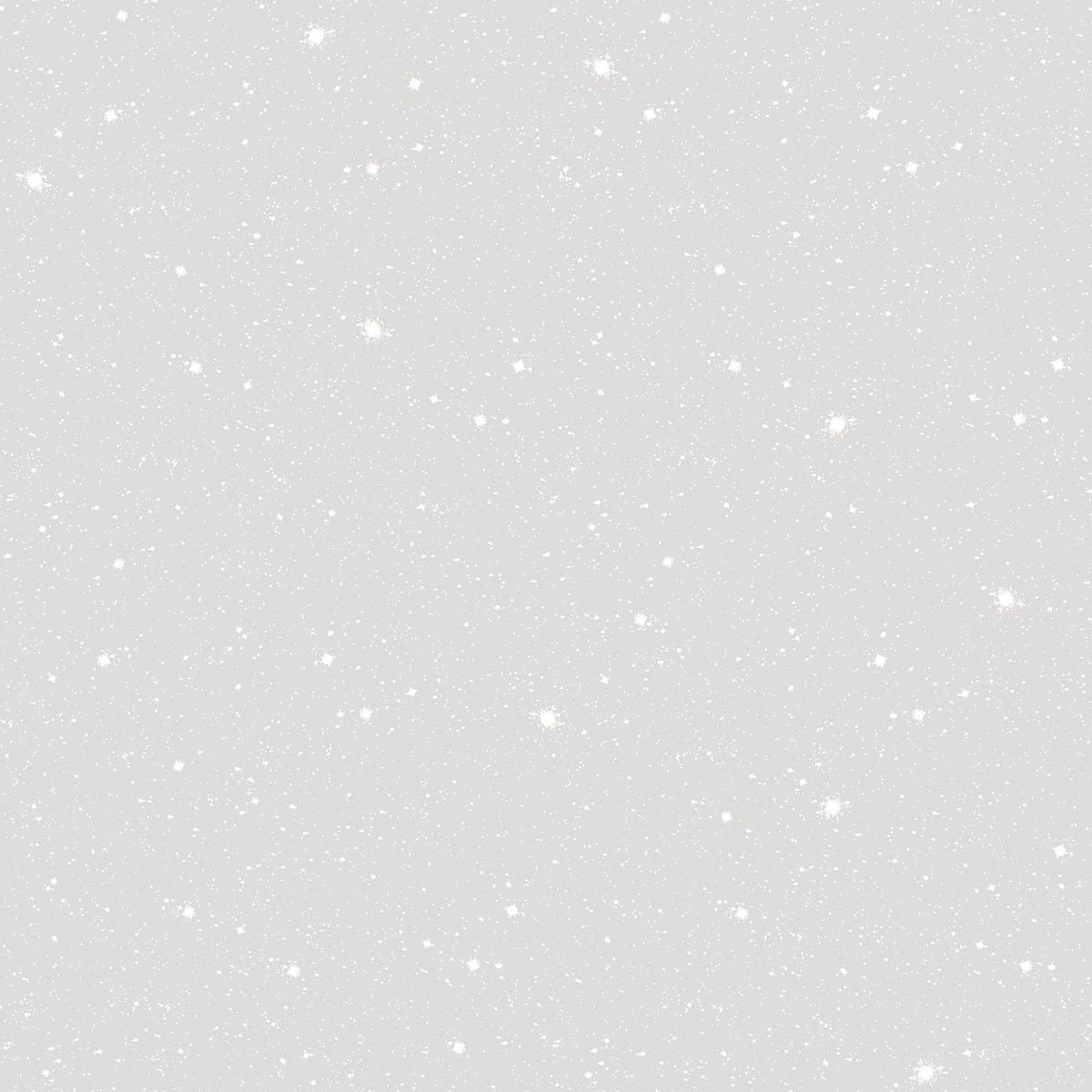Galerie Space Sidewall Silver Grey Wallpaper