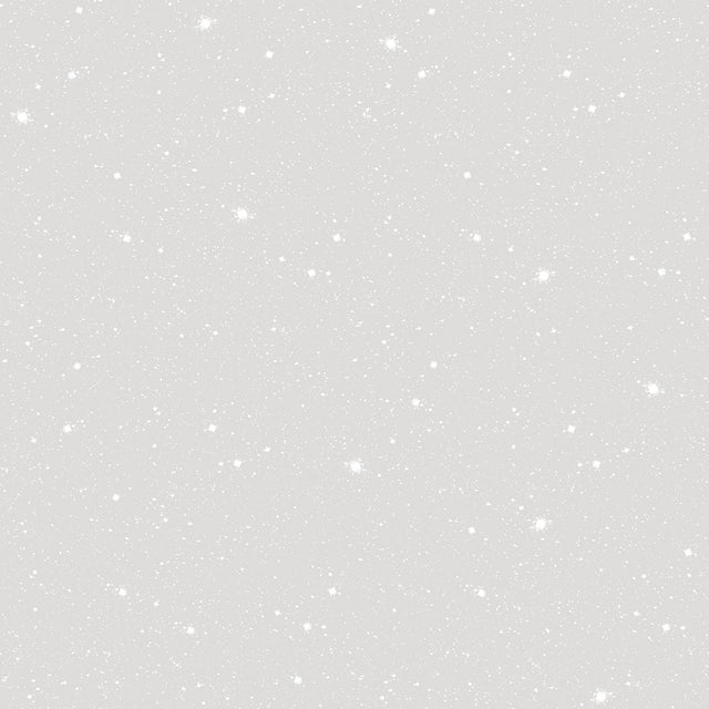 Galerie Space Sidewall Silver Grey Wallpaper