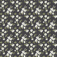Galerie Anenome Mini Black Wallpaper