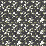 Galerie Anenome Mini Black Wallpaper